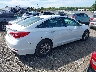 5NPE24AF2GH****** Salvamento y Destrozados 2016 Hyundai Sonata en Estado de Virginia