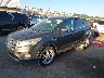 1FMCU0GD5HU****** Used and Repairable 2017 Ford Escape in Oklahoma City