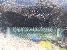 1FADP3F29DL****** Usados 2013 Ford Focus en Memphis