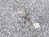 JTDZN3EU2D3****** Wrecked 2013 Toyota Prius V in California State