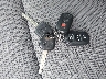 2T1KR30E28C****** Salvage 2008 Toyota Matrix in Massachusetts State