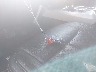 1FTEW1E59KK****** Salvage 2019 Ford F-150 in Texas State