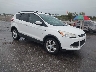 1FMCU9GX3DU****** Salvamento y Destrozados 2013 Ford Escape en Des Moines