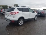 1FMCU9GX3DU****** Salvamento y Destrozados 2013 Ford Escape en Estado de Iowa