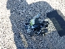 WBXHU7C33H5****** Wrecked 2017 BMW X1 in Pennsylvania State