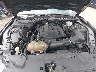 1FA6P8TH8K5****** Repairable 2019 Ford Mustang in North Hollywood