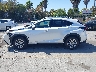 JTJDARDZ2M5****** Salvamento 2021 Lexus NX