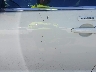 3FAHP0JA1CR****** Salvage and Repairable 2012 Ford Fusion in California State