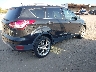 1FMCU9J92DU****** Salvage and Wrecked 2013 Ford Escape in Tennessee State