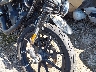 1HD4LE210LB****** Destrozados 2020 Harley-Davidson Xl883