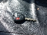 JTDBL40EX9J****** Salvage 2009 Toyota Corolla in Massachusetts State