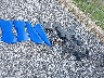 3JBVMAY27NE****** Wrecked 2022 Can-Am Maverick X3 in Maryland State
