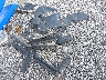 3JBVMAY27NE****** Salvage 2022 Can-Am Maverick X3