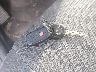 2T1KR32E25C****** Salvage 2005 Toyota Matrix in Tennessee State