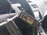 JM1BL1WP6D1****** Salvage 2013 Mazda 3 in Maryland State