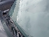 5TETX22N48Z****** Reparables 2008 Toyota Tacoma